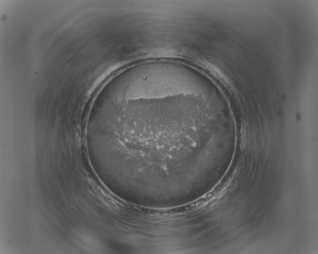 X0000063461212200601271556