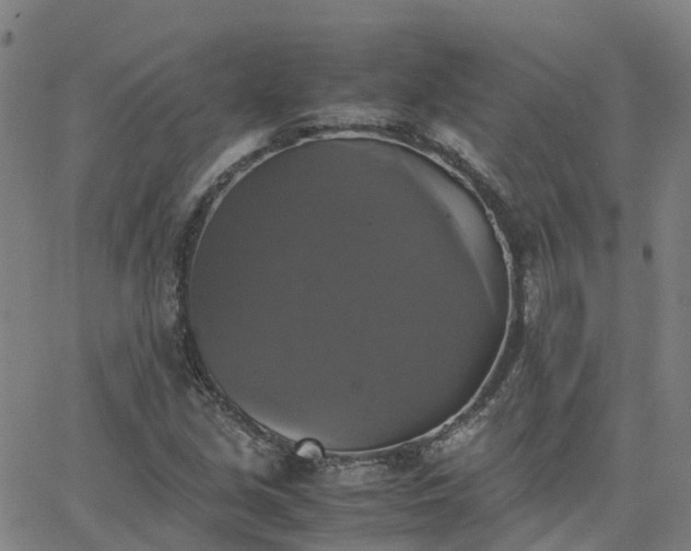 X0000063461213200601271556