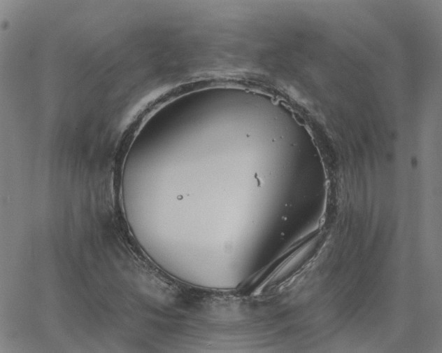 X0000063461214200601271556