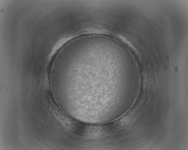 X0000063461215200601271556