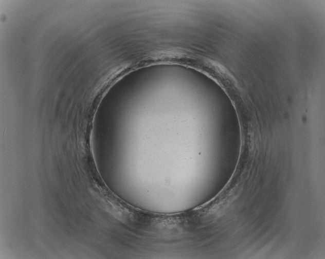 X0000063461217200601271556