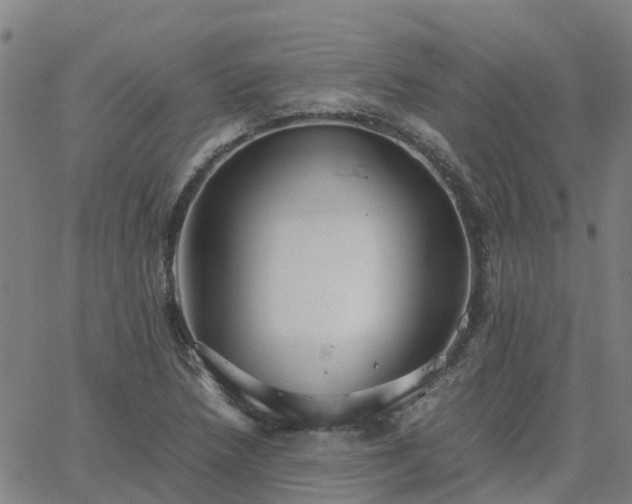 X0000063461218200601271556