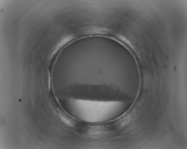 X0000063461219200601271556