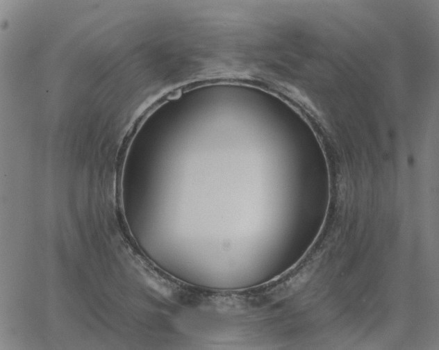 X0000063461220200601271556