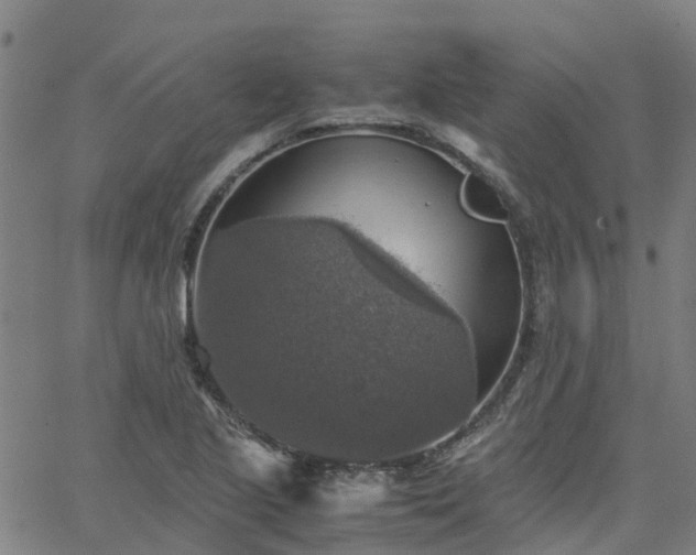 X0000063461221200601271556