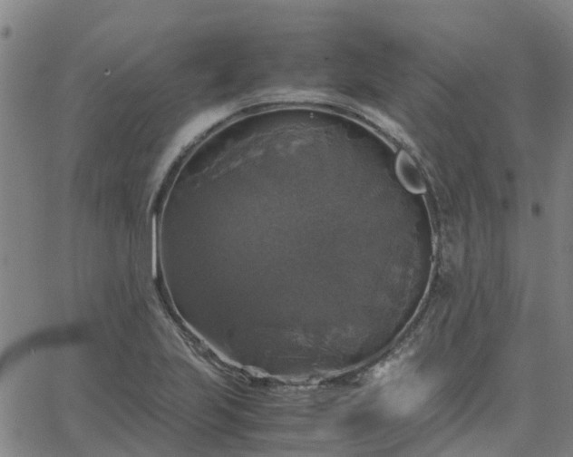 X0000063461223200601271556