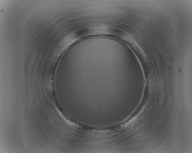 X0000063461225200601271556