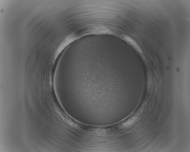 X0000063461226200601271556