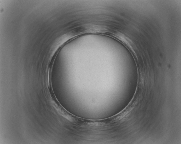 X0000063461227200601271556