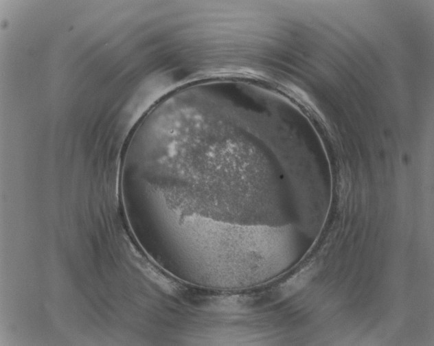 X0000063461228200601271556