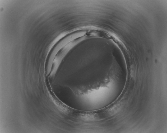 X0000063461229200601271556