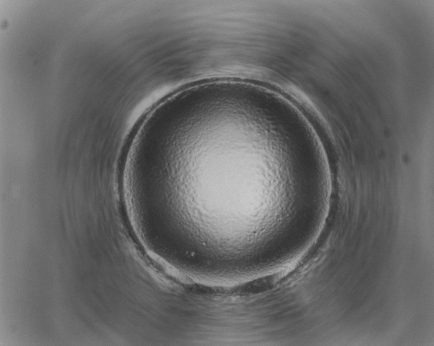 X0000063461230200601271556