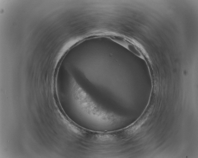 X0000063461231200601271556