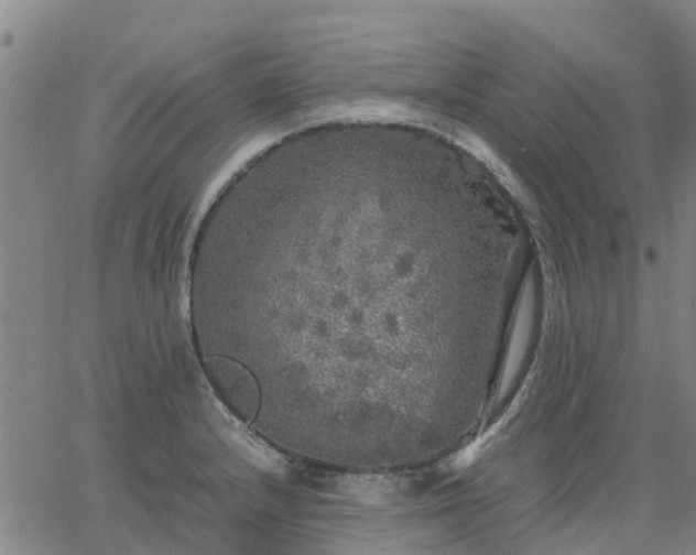 X0000063461232200601271556