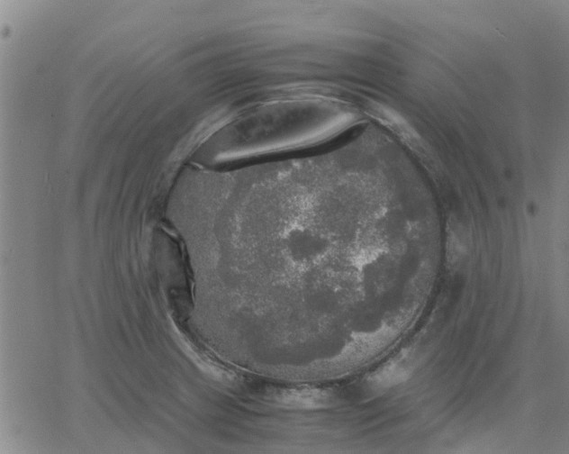 X0000063461233200601271556