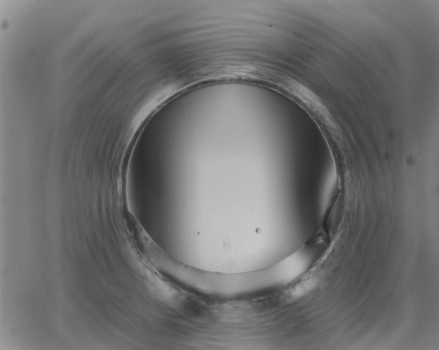 X0000063461234200601271556