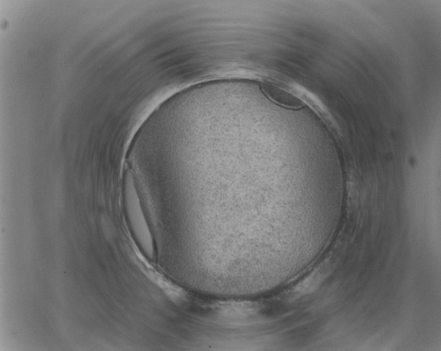 X0000063461236200601271556