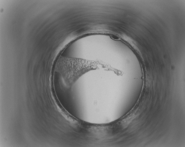 X0000063461237200601271556