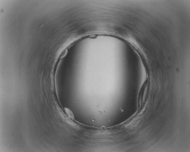 X0000063461238200601271556