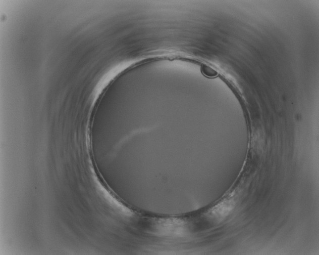 X0000063461239200601271556