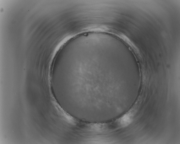 X0000063461240200601271556