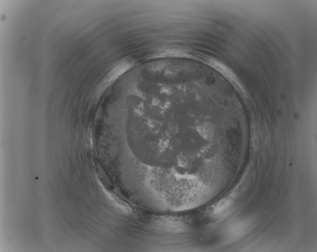 X0000063461241200601271556