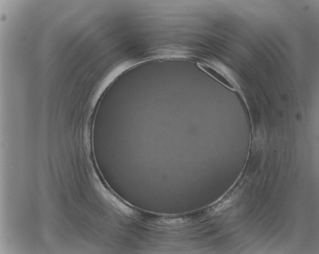 X0000063461243200601271556