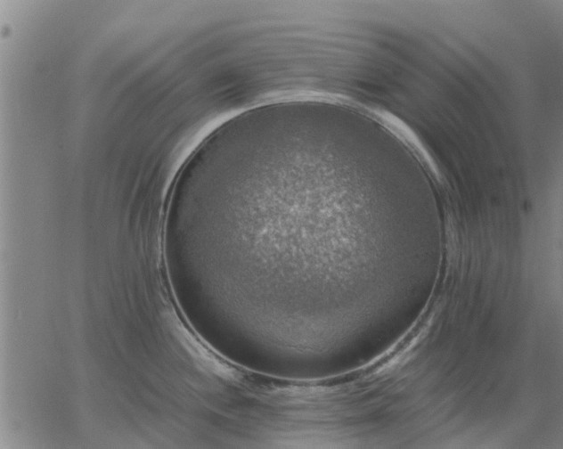 X0000063461244200601271556