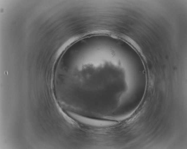 X0000063461245200601271556