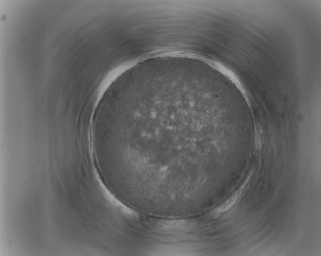 X0000063461247200601271556