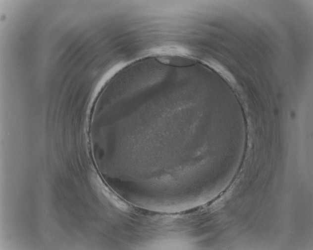 X0000063461248200601271556