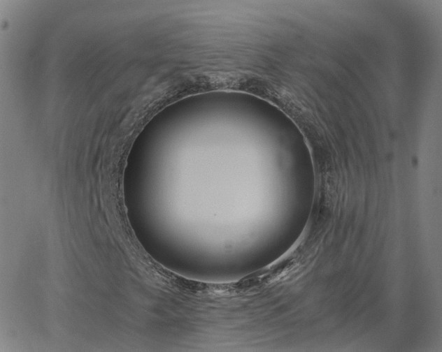 X0000063461249200601271555