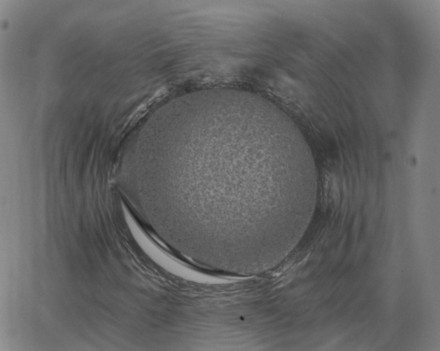 X0000063461250200601271555