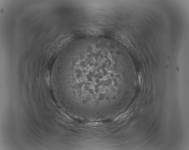 X0000063461251200601271555