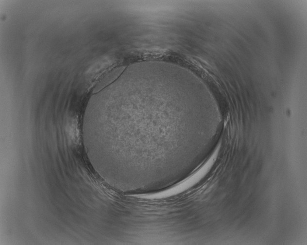 X0000063461252200601271555