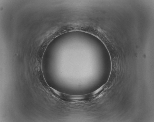 X0000063461253200601271555