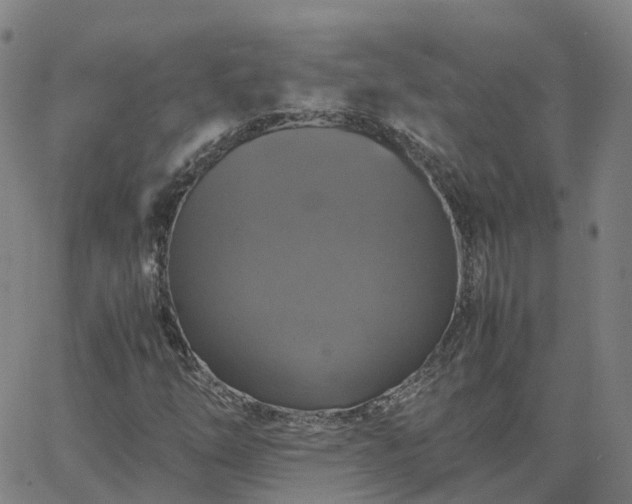 X0000063461254200601271555