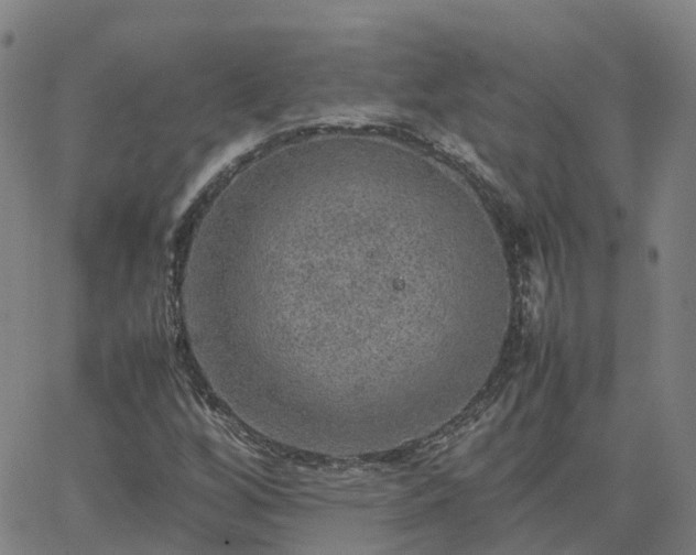 X0000063461256200601271555