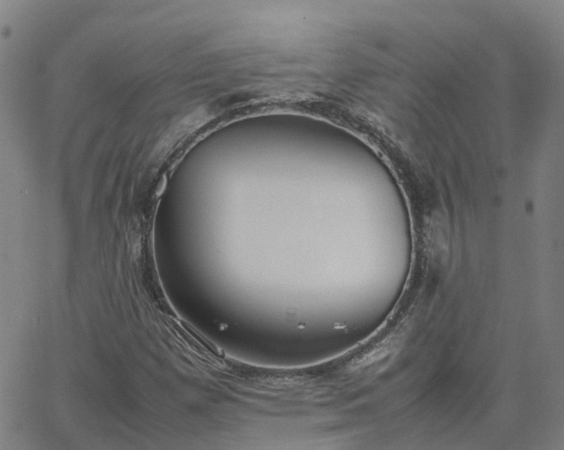 X0000063461257200601271555