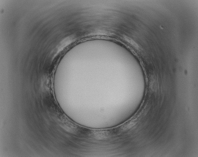 X0000063461258200601271555