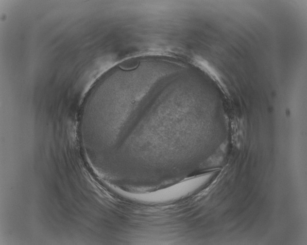 X0000063461260200601271555