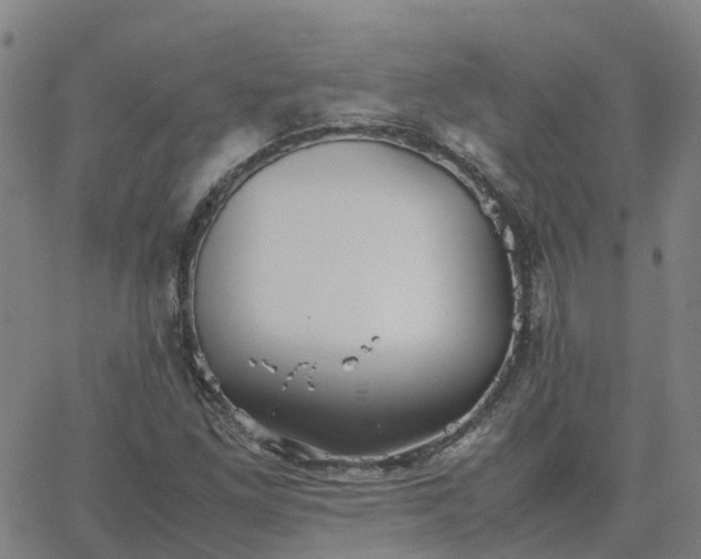 X0000063461261200601271555