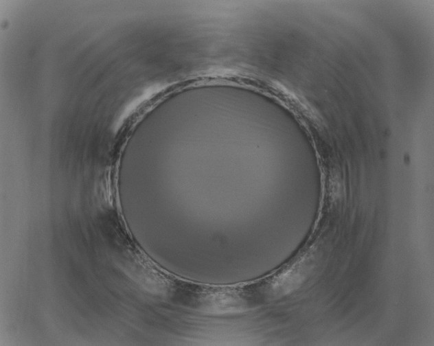 X0000063461262200601271555