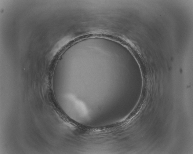 X0000063461263200601271555