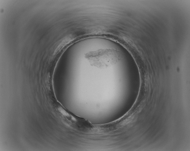 X0000063461265200601271555