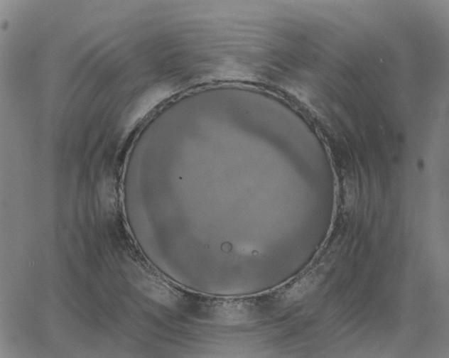 X0000063461266200601271555