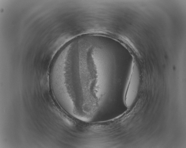 X0000063461268200601271555