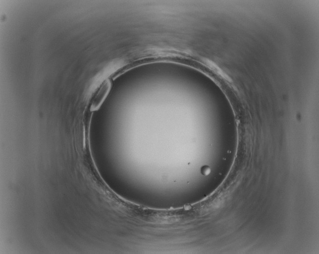 X0000063461269200601271555