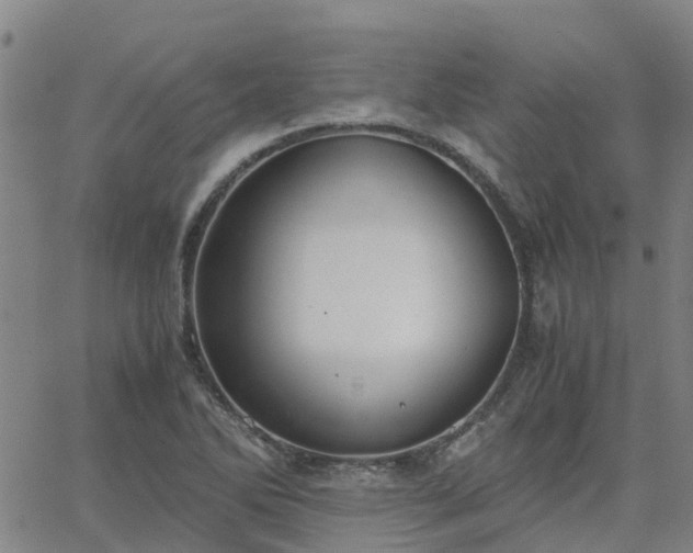 X0000063461270200601271555