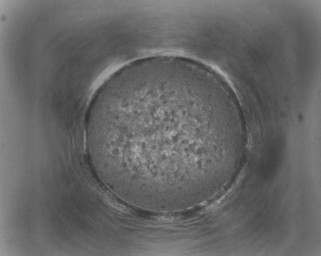 X0000063461271200601271555